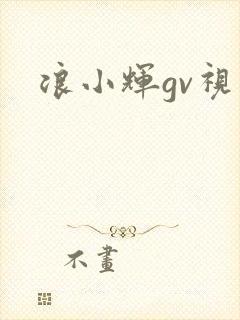 浪小辉gv视频