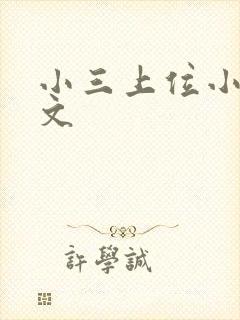 小三上位小说全文封面