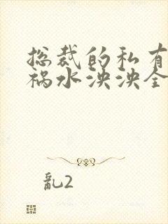 总裁的私有宝贝祸水泱泱全文阅读