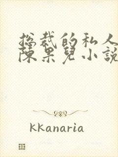 总裁的私人秘书陈果儿小说