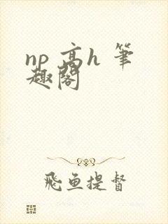 np 高h 笔趣阁