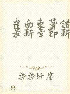 崔向东萧错小说最新章节新笔趣阁