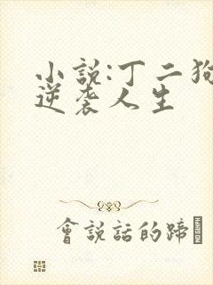 小说:丁二狗的逆袭人生封面