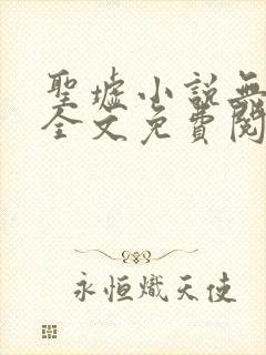 圣墟小说无弹窗全文免费阅读封面