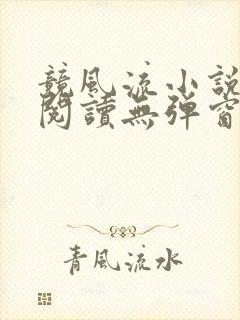 竞风流小说全文阅读无弹窗免费