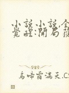 小说小说,全民觉醒:开局获得sss级天赋