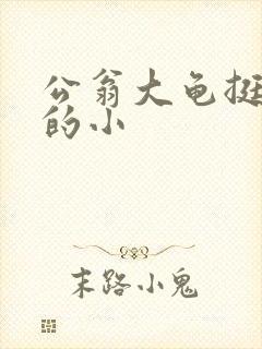 公翁大龟挺进我的小