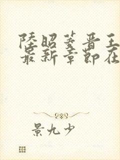 陆昭菱晋王小说最新章节在线阅读封面