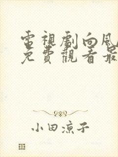 电视剧向风而行免费观看最新一集