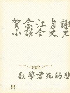 贺念江月谢泊年小说全文免费阅读笔趣阁封面