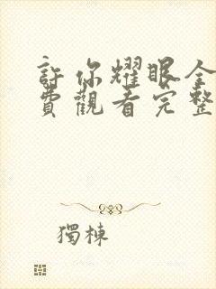 许你耀眼全集免费观看完整版高清