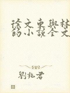 徐文东与林伊人的小说全文阅读无弹窗