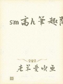 sm高h笔趣阁封面