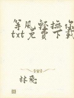 等风轻抚你小说txt免费下载