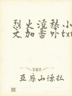 烈火浇愁小说全文加番外txt