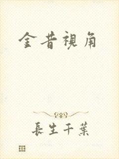 金昔视角封面