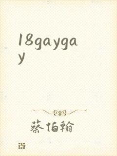 18gaygay封面