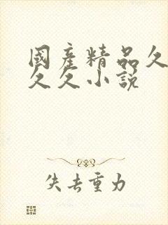 国产精品久久久久久小说封面