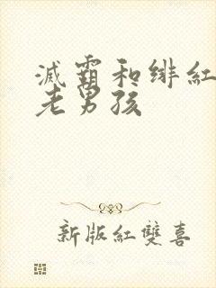 灭霸和绯红女巫老男孩