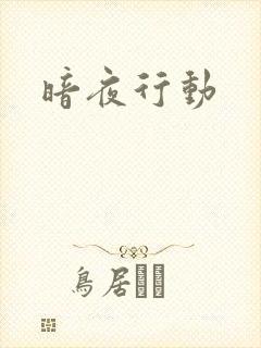 暗夜行动