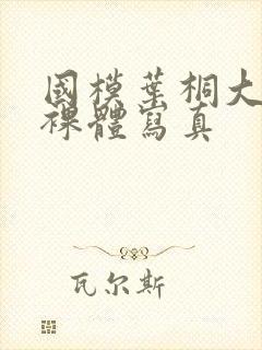 国模叶桐大尺度裸体写真