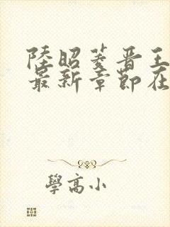 陆昭菱晋王小说最新章节在线阅读封面