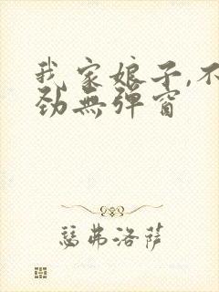 我家娘子,不对劲无弹窗