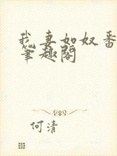 我妻如奴番外篇笔趣阁