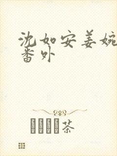 沈如安姜婉结局番外