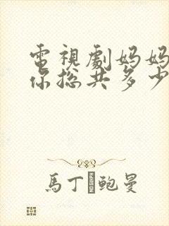 电视剧妈妈在等你总共多少集