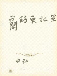 我的东北军笔趣阁