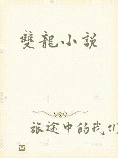 双龙小说