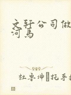 文轩公司做扩张河马封面