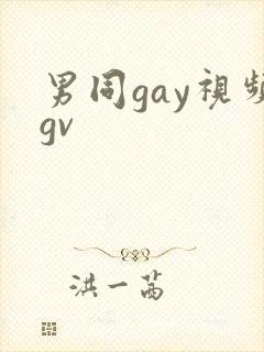 男同gay视频gv