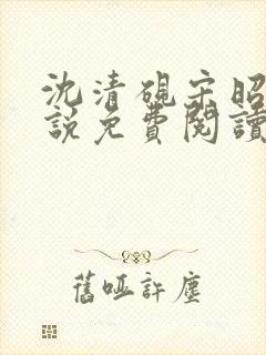 沈清砚宋昭汐小说免费阅读最新章节