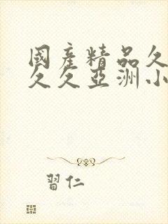 国产精品久久久久久亚洲小说