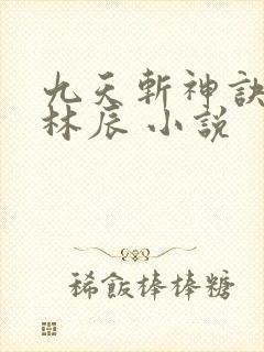 九天斩神诀小说林辰 小说