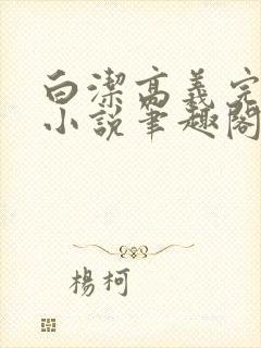 白洁高义完整版小说笔趣阁封面