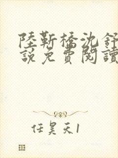 陆靳桥沈舒宁小说免费阅读最新章节