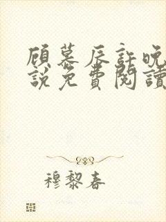 顾慕辰许晚音小说免费阅读最新章节