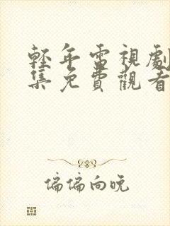 轻年电视剧40集免费观看全集