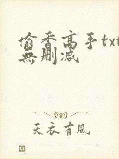 偷香高手txt无删减