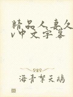 精品人妻久久av中文字幕