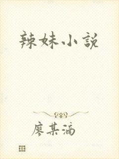 辣妹小说