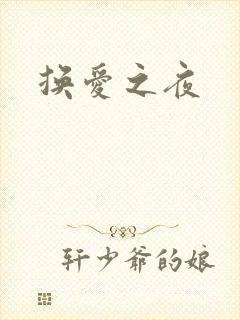 换爱之夜封面