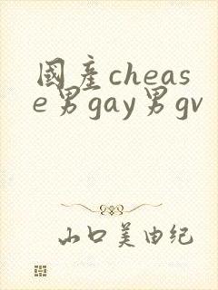 国产chease男gay男gv