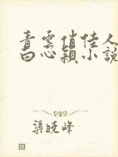 青云俏佳人李泽白心颖小说全文封面