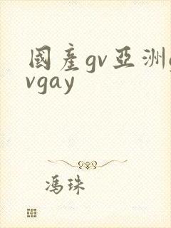 国产gv亚洲gvgay封面
