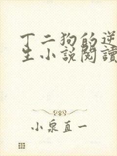 丁二狗的逆袭人生小说阅读