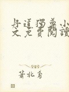 丹道独尊小说全文免费阅读